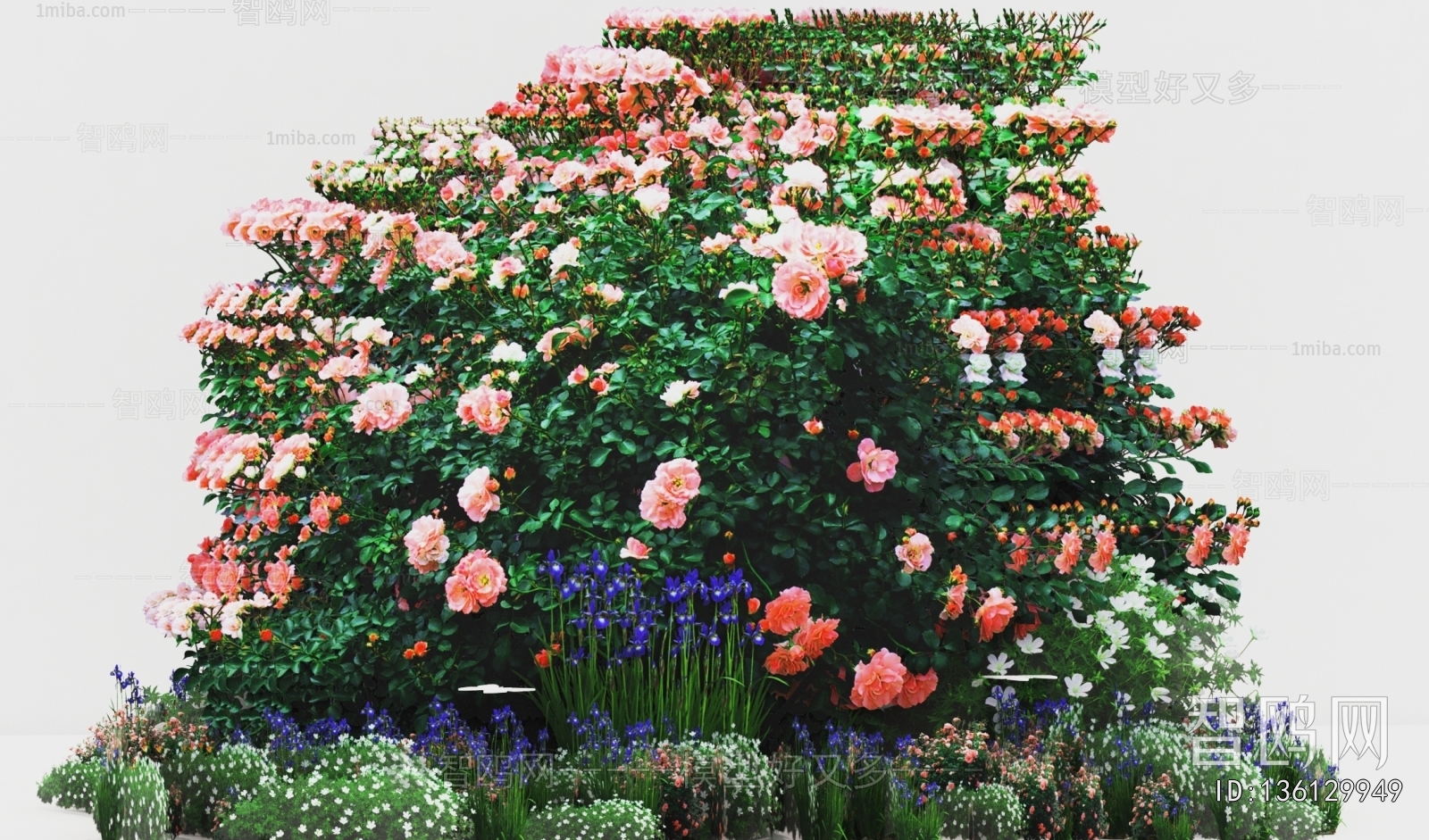 Modern Flowers And Grass