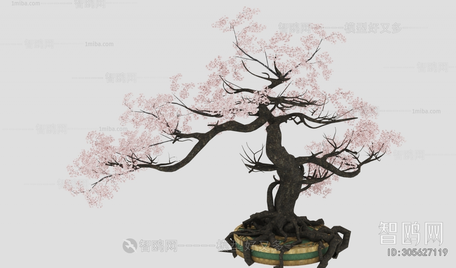 Country Style Bonsai