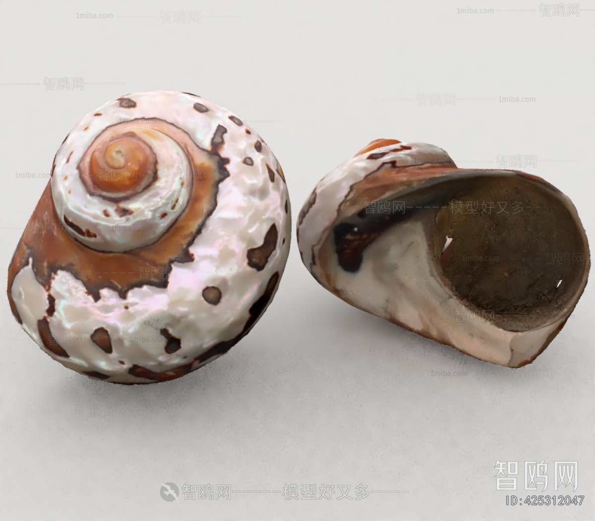 Modern Aquatic Animals