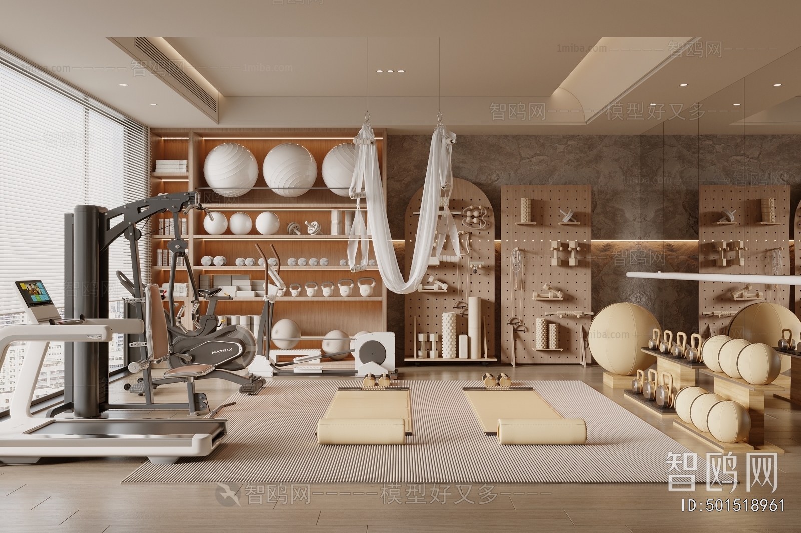 Modern Home Fitness Room