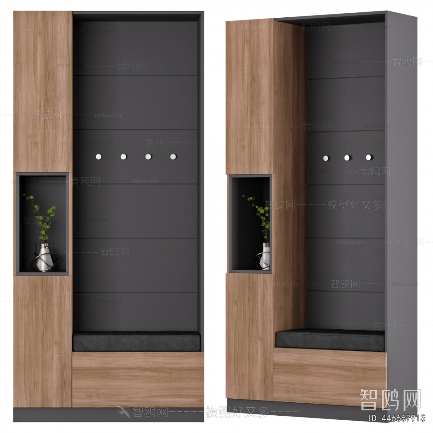 Modern Entrance Cabinet