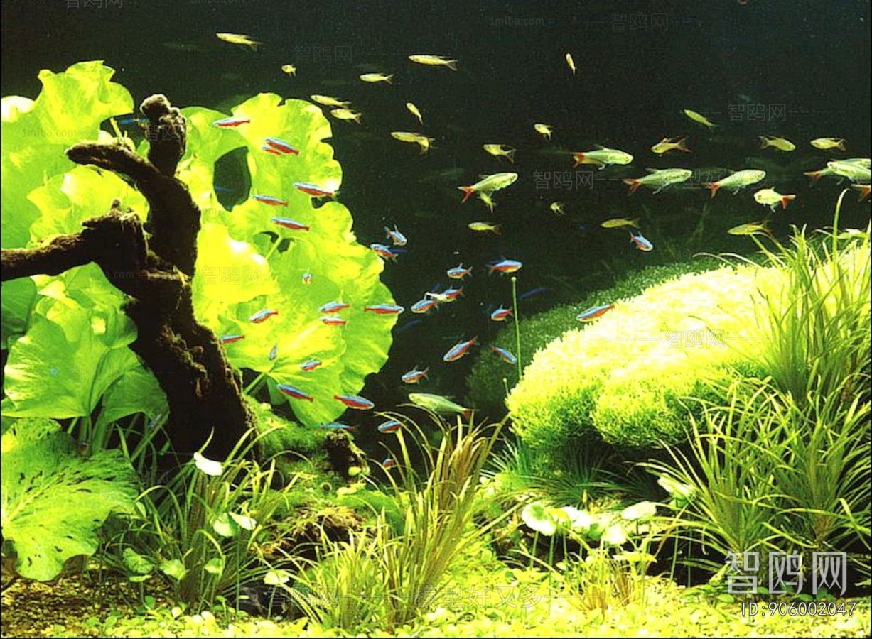 浴缸贴图