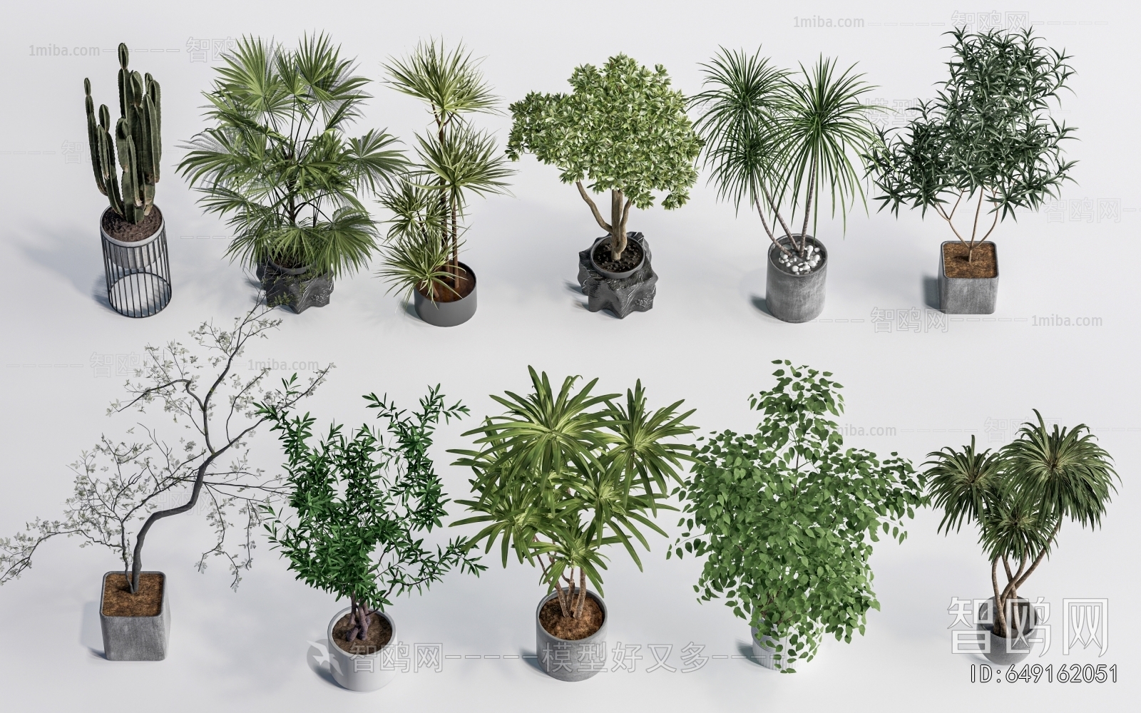 Modern Ground Green Plant Potted Plants