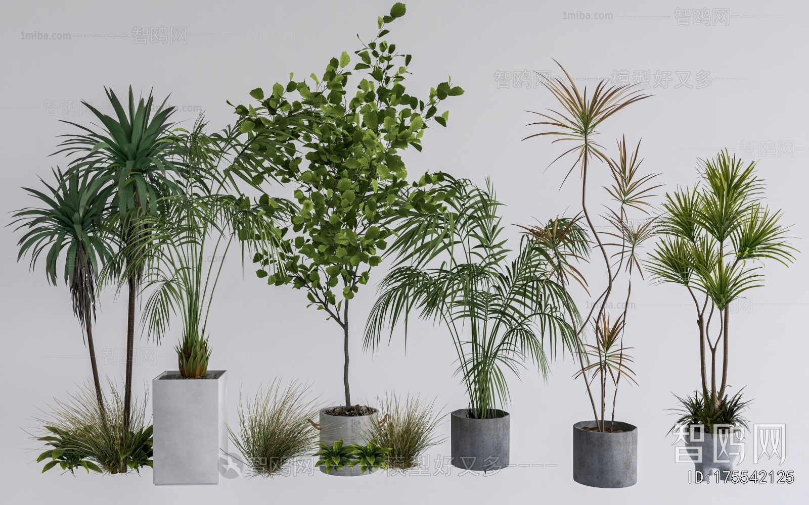 Modern Ground Green Plant Potted Plants