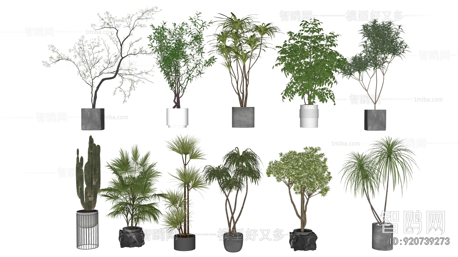 Modern Ground Green Plant Potted Plants