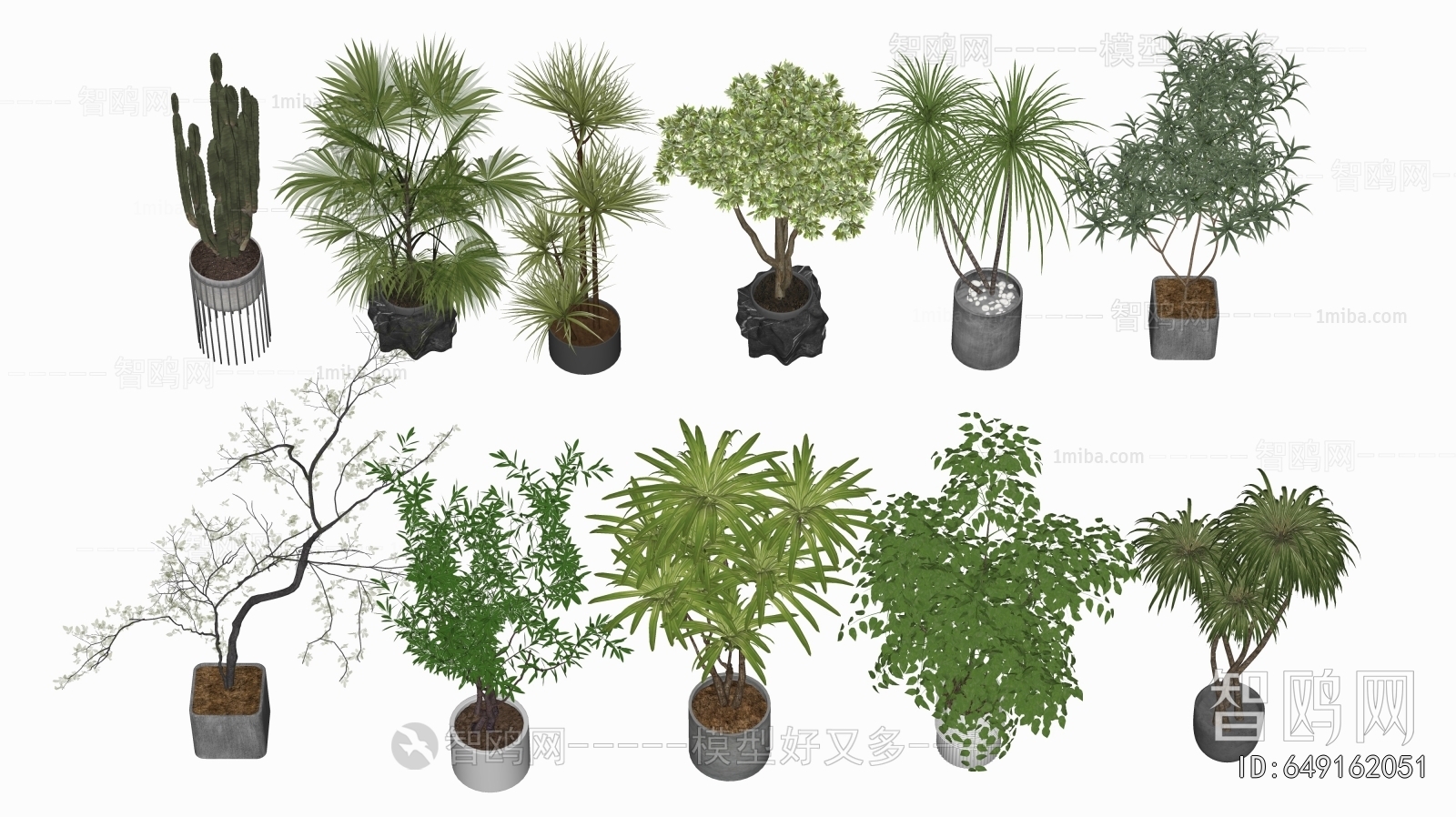 Modern Ground Green Plant Potted Plants