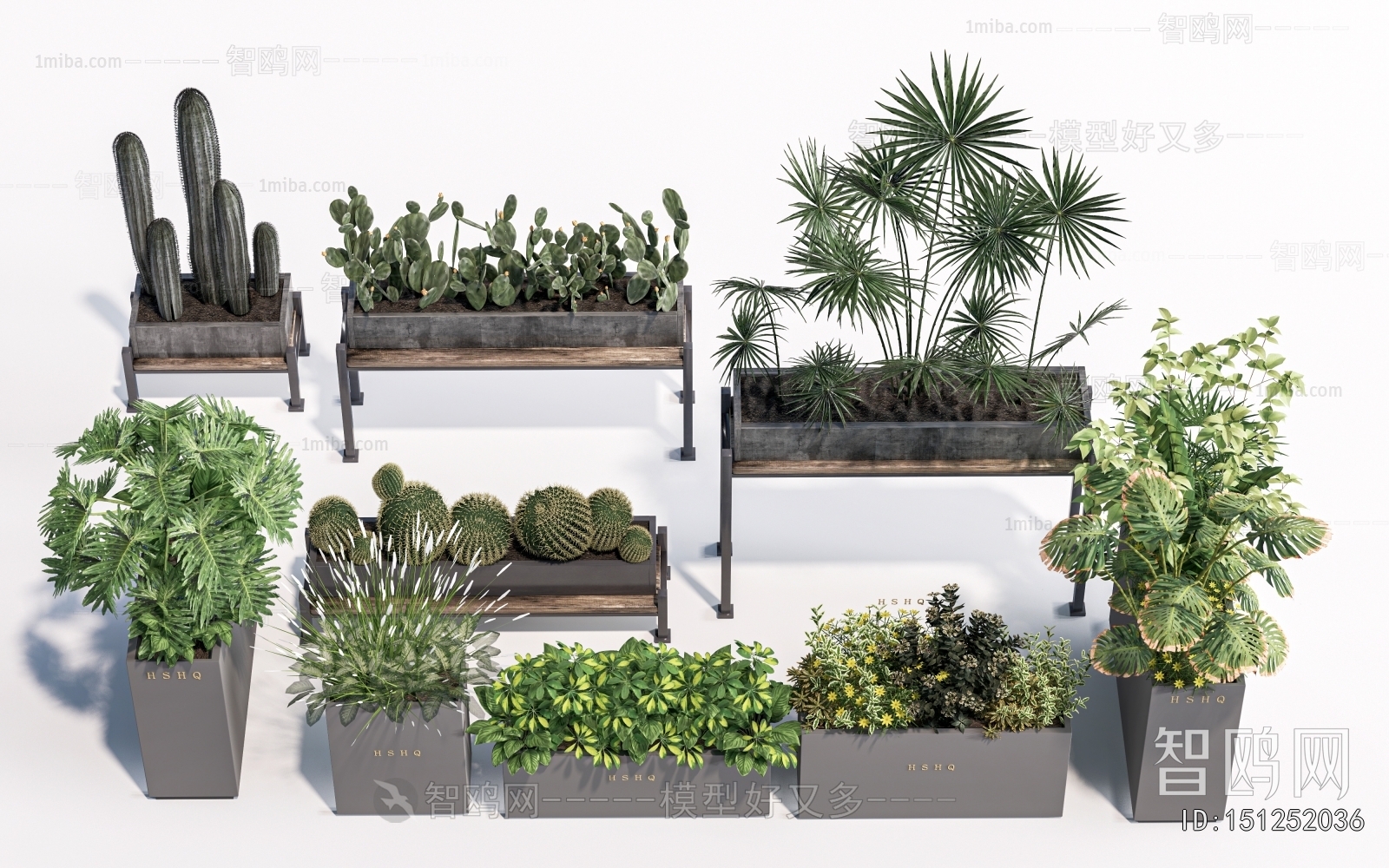 Modern Flower Bed, Flower Bowl, Flower Box