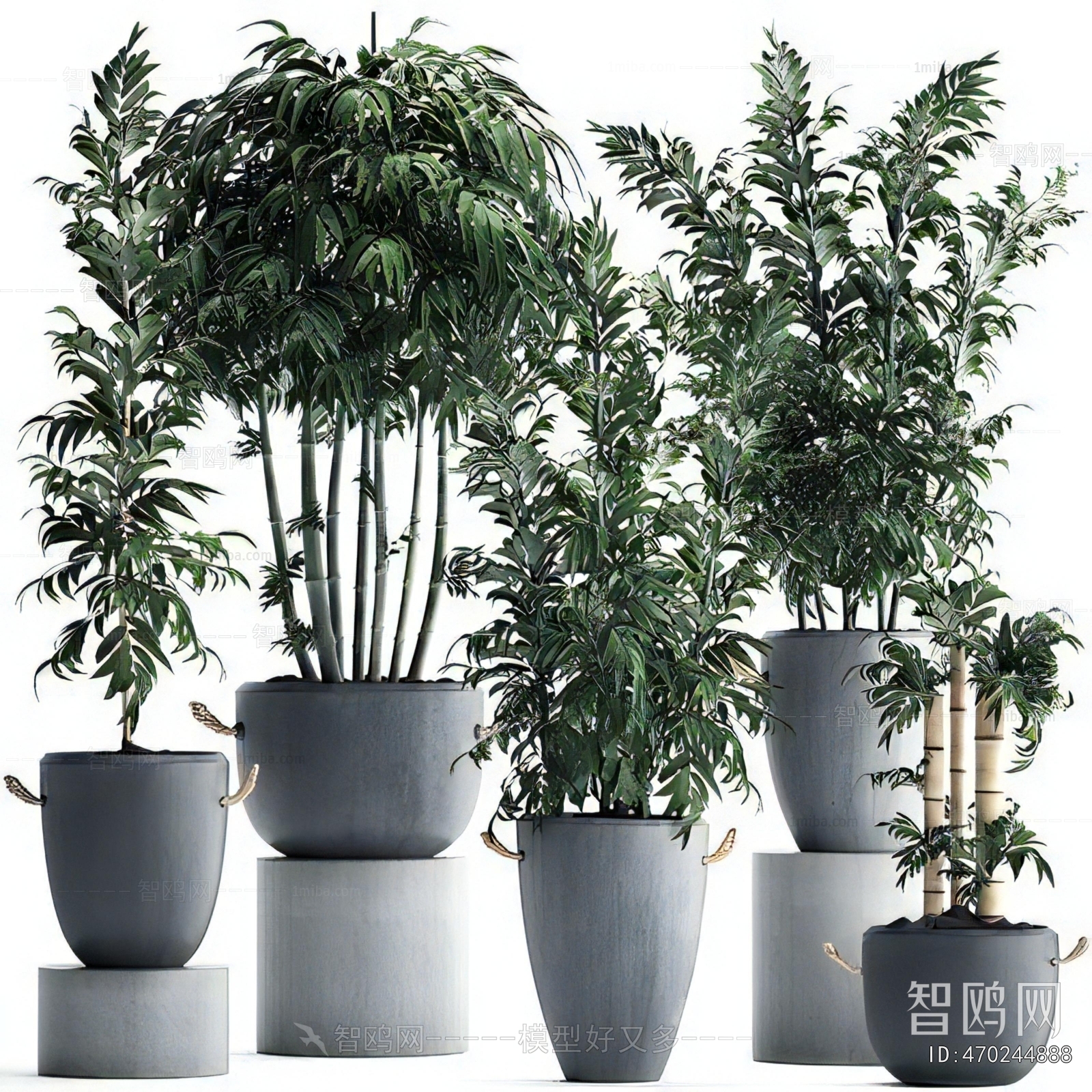 Modern Ground Green Plant Potted Plants