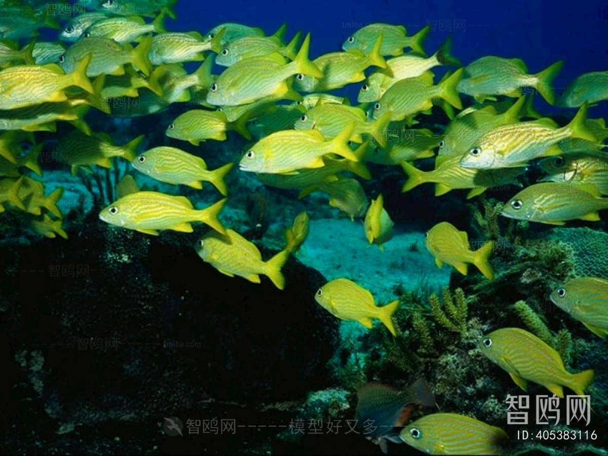 浴缸贴图