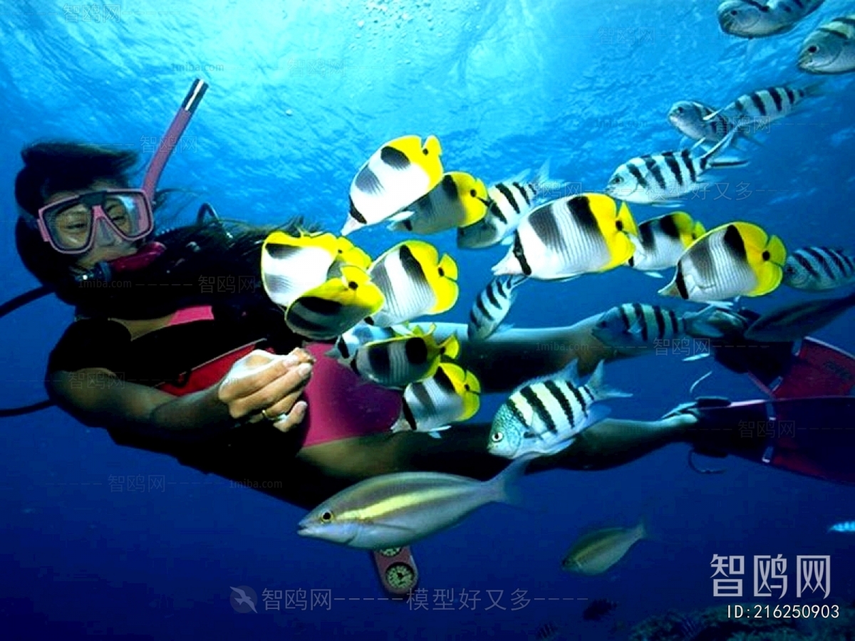 浴缸贴图