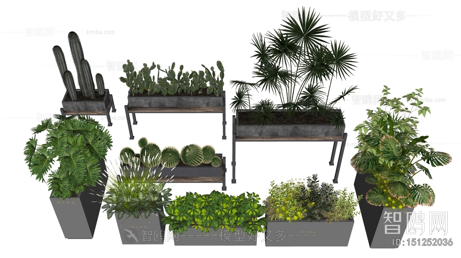 Modern Flower Bed, Flower Bowl, Flower Box