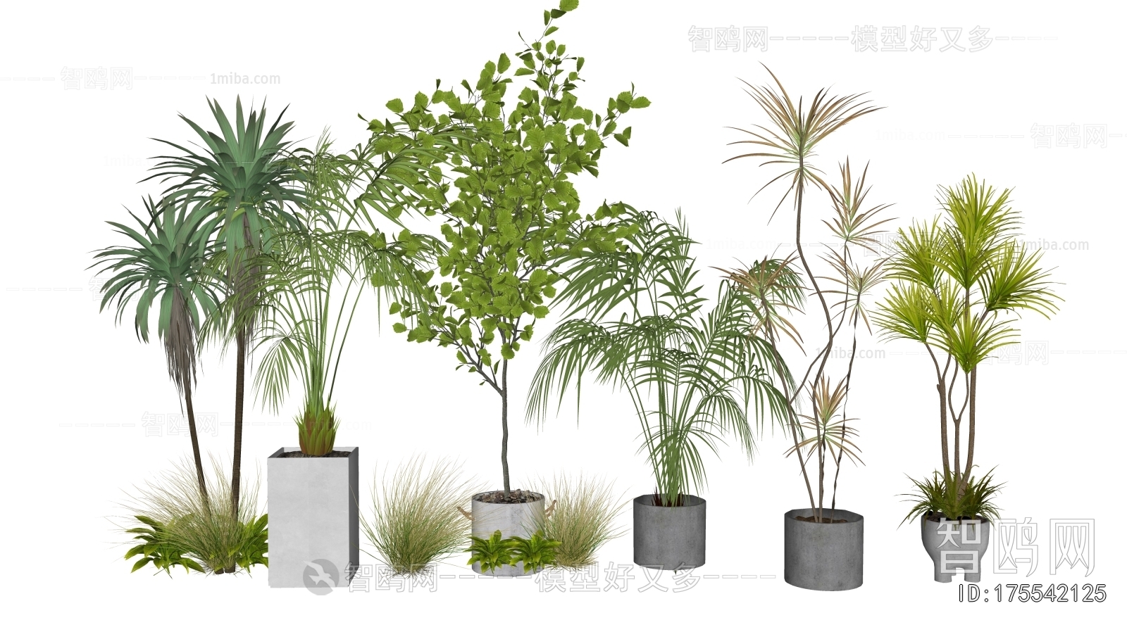 Modern Ground Green Plant Potted Plants