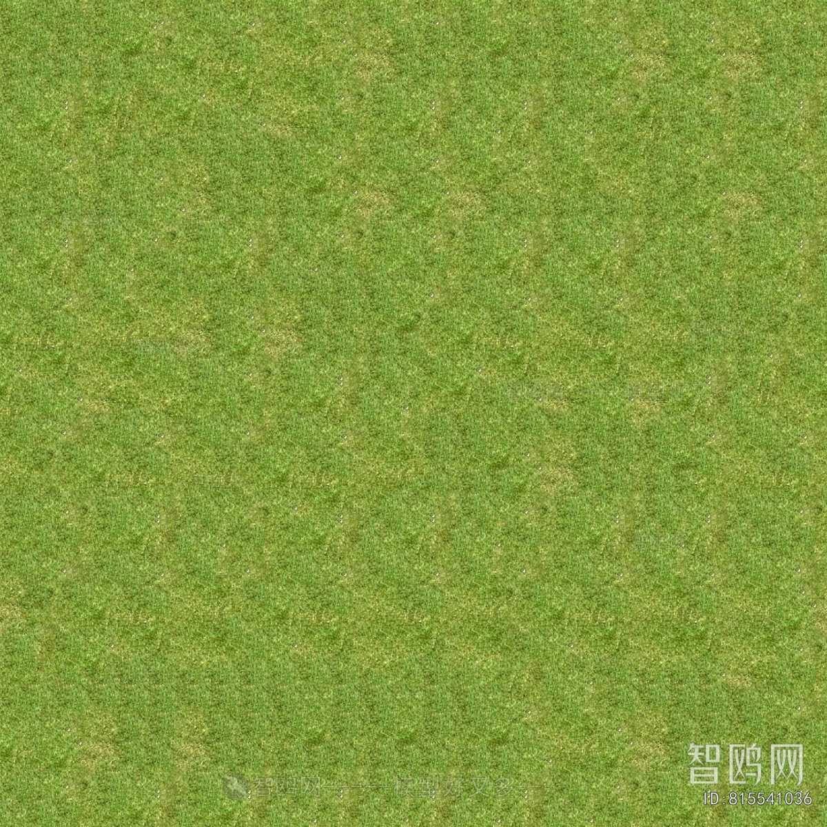 Grass