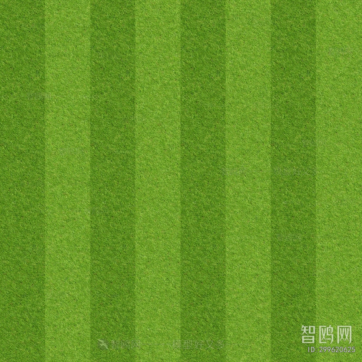 Grass