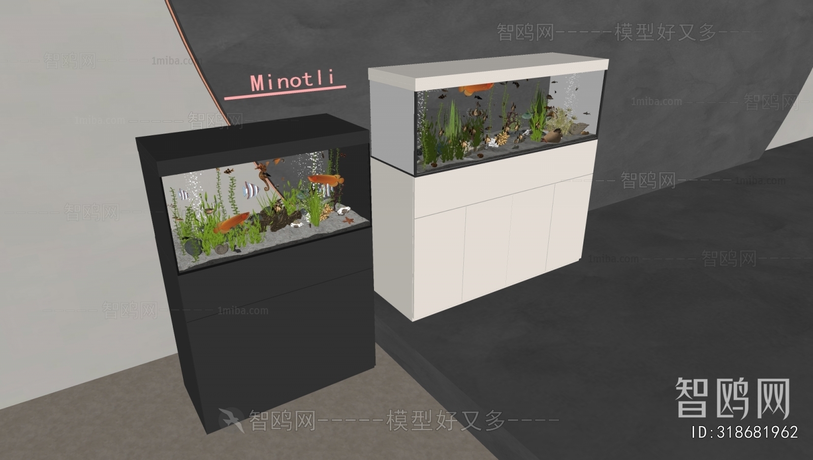 Modern Fish Tank