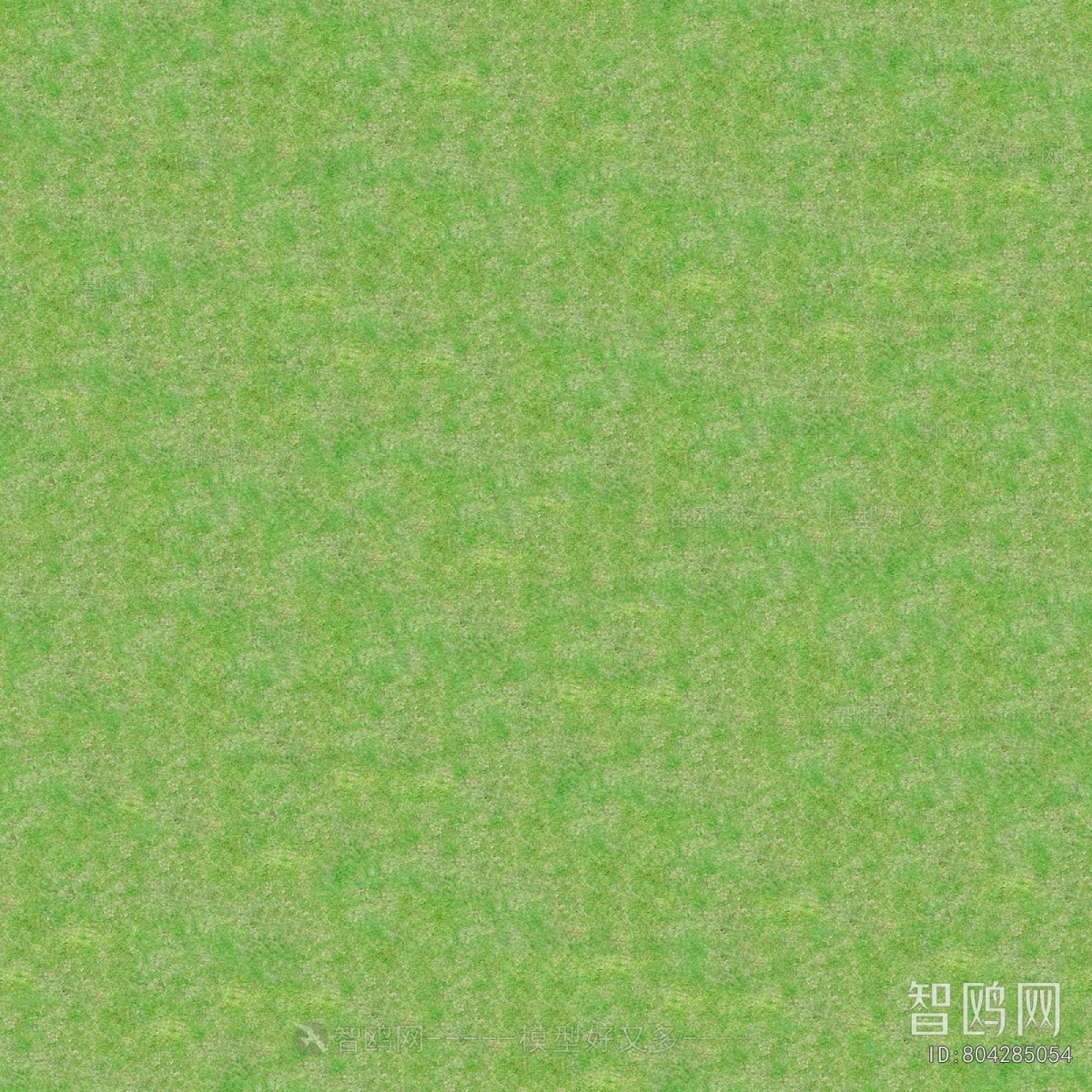 Grass