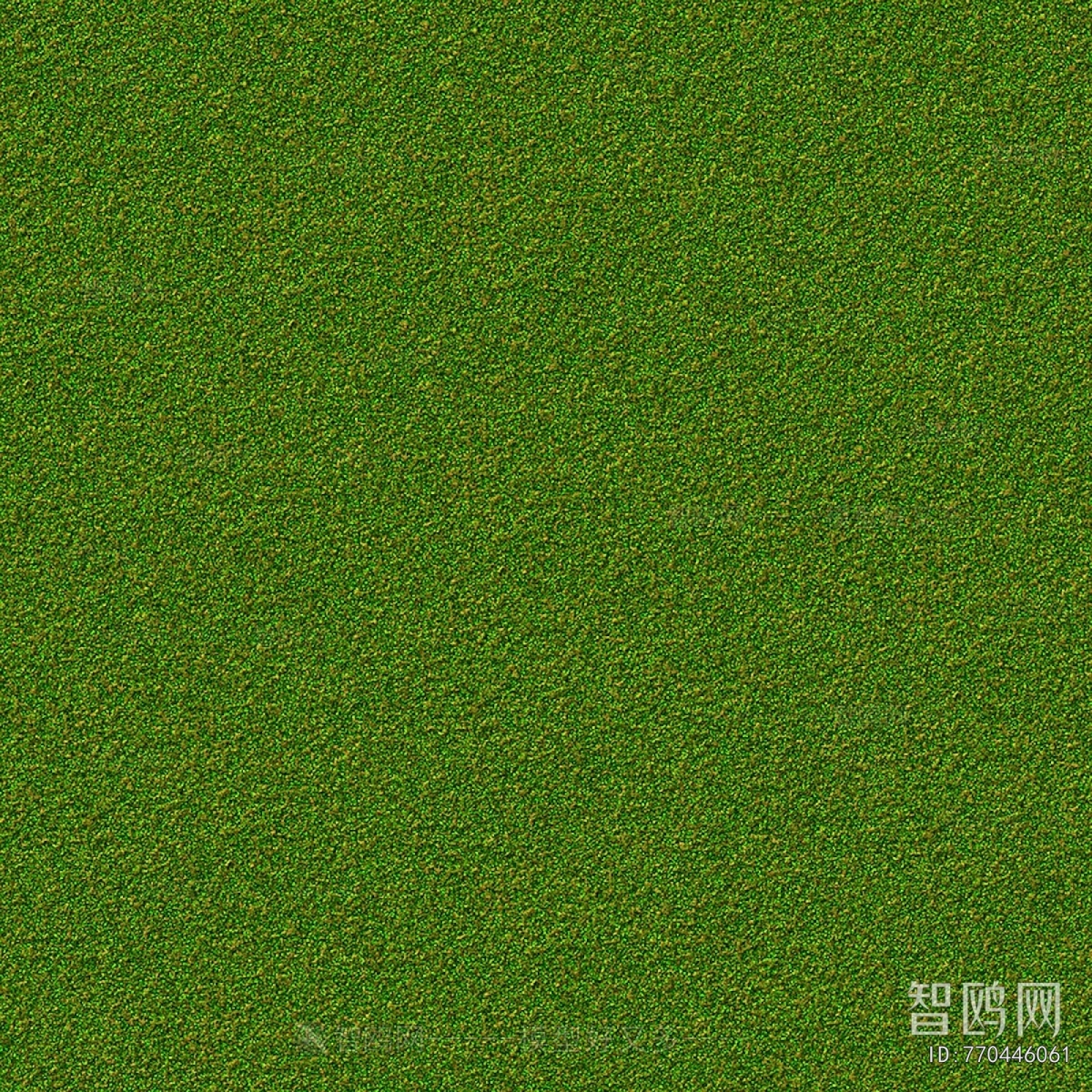 Grass