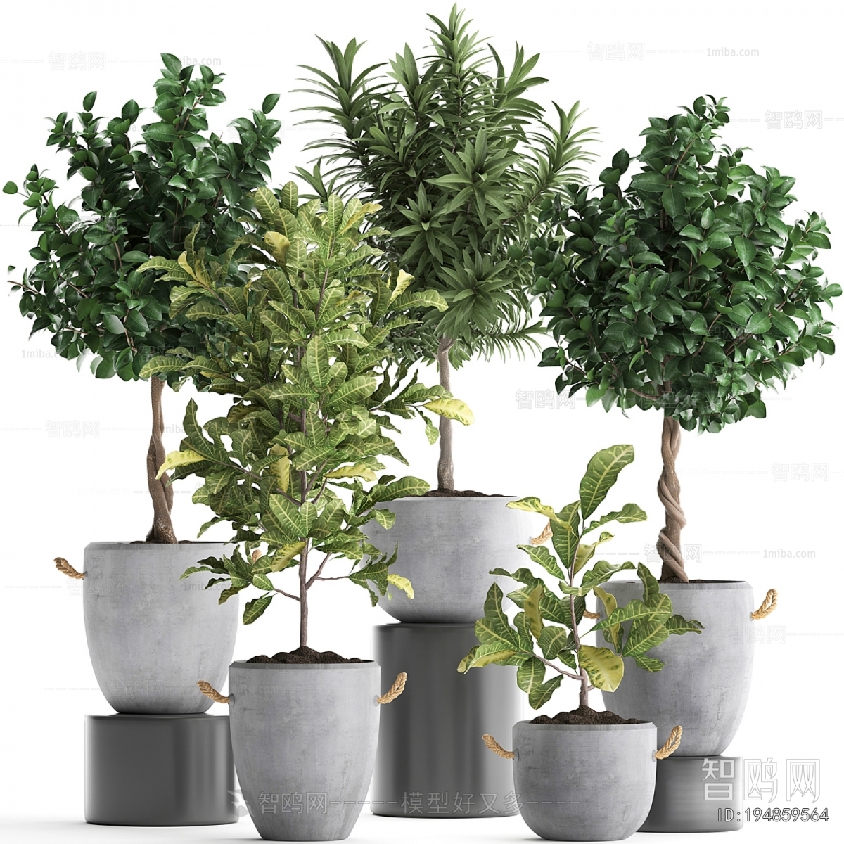 Modern Ground Green Plant Potted Plants