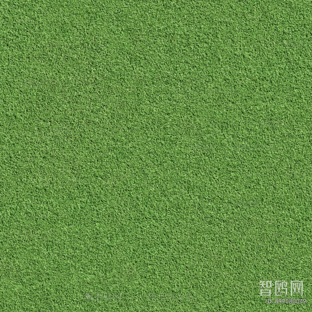 Grass
