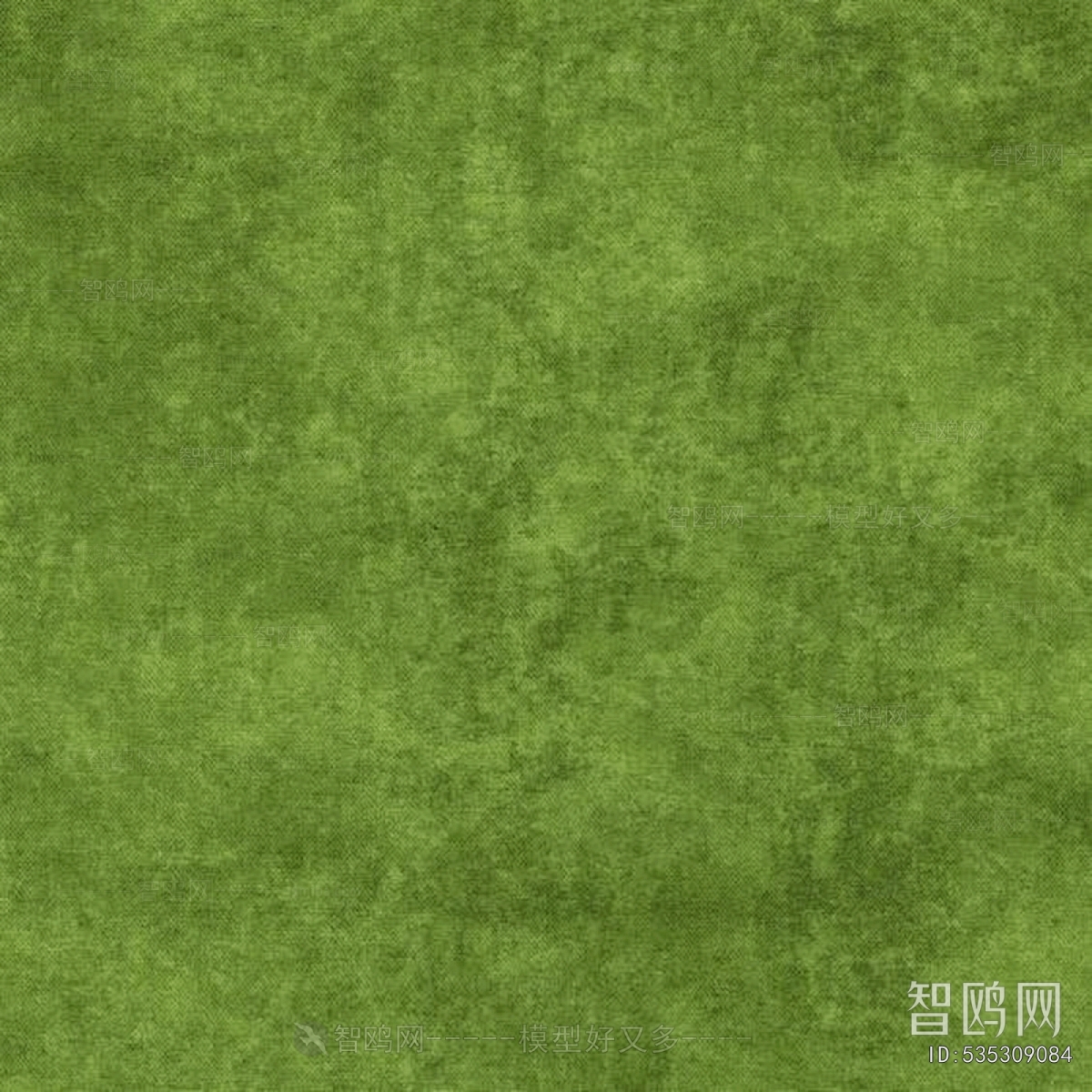 Grass