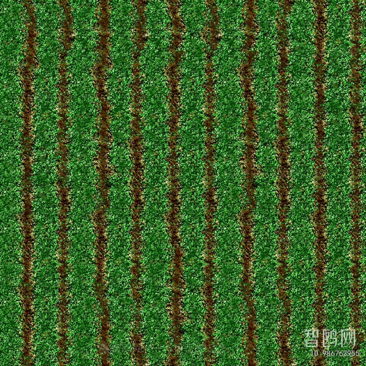 Grass