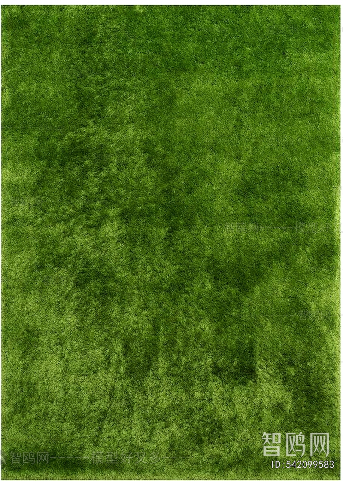 Grass