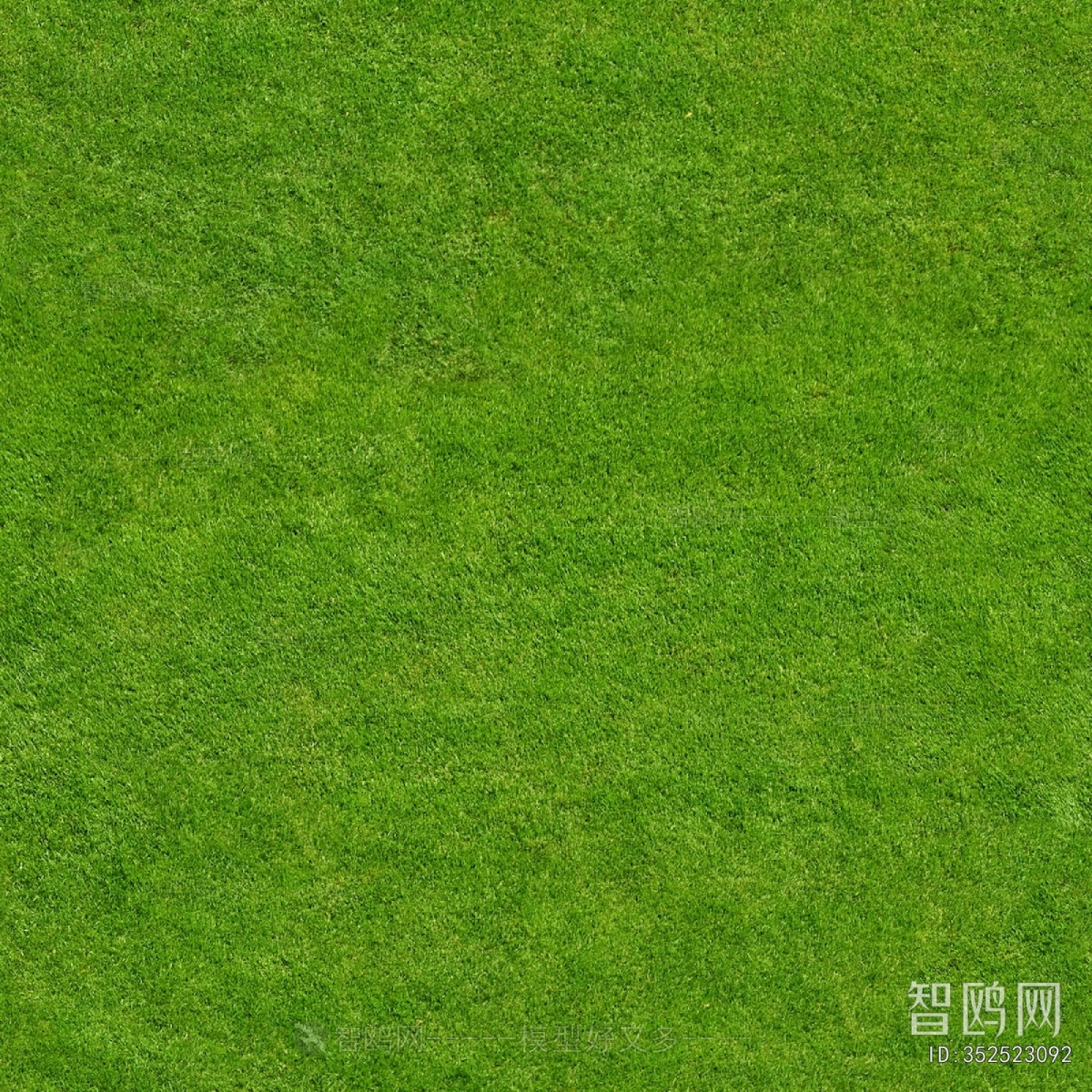 草皮树林