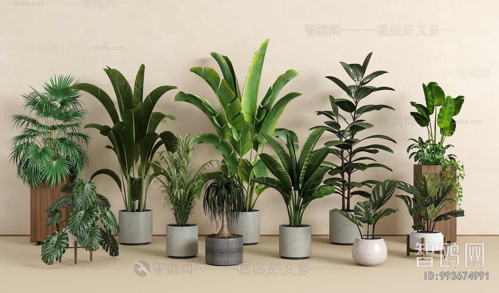 Modern Ground Green Plant Potted Plants