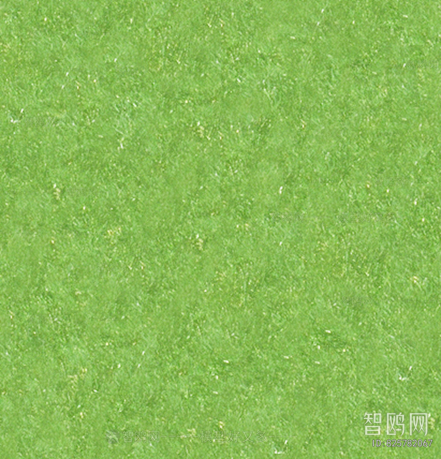 现代草皮地面