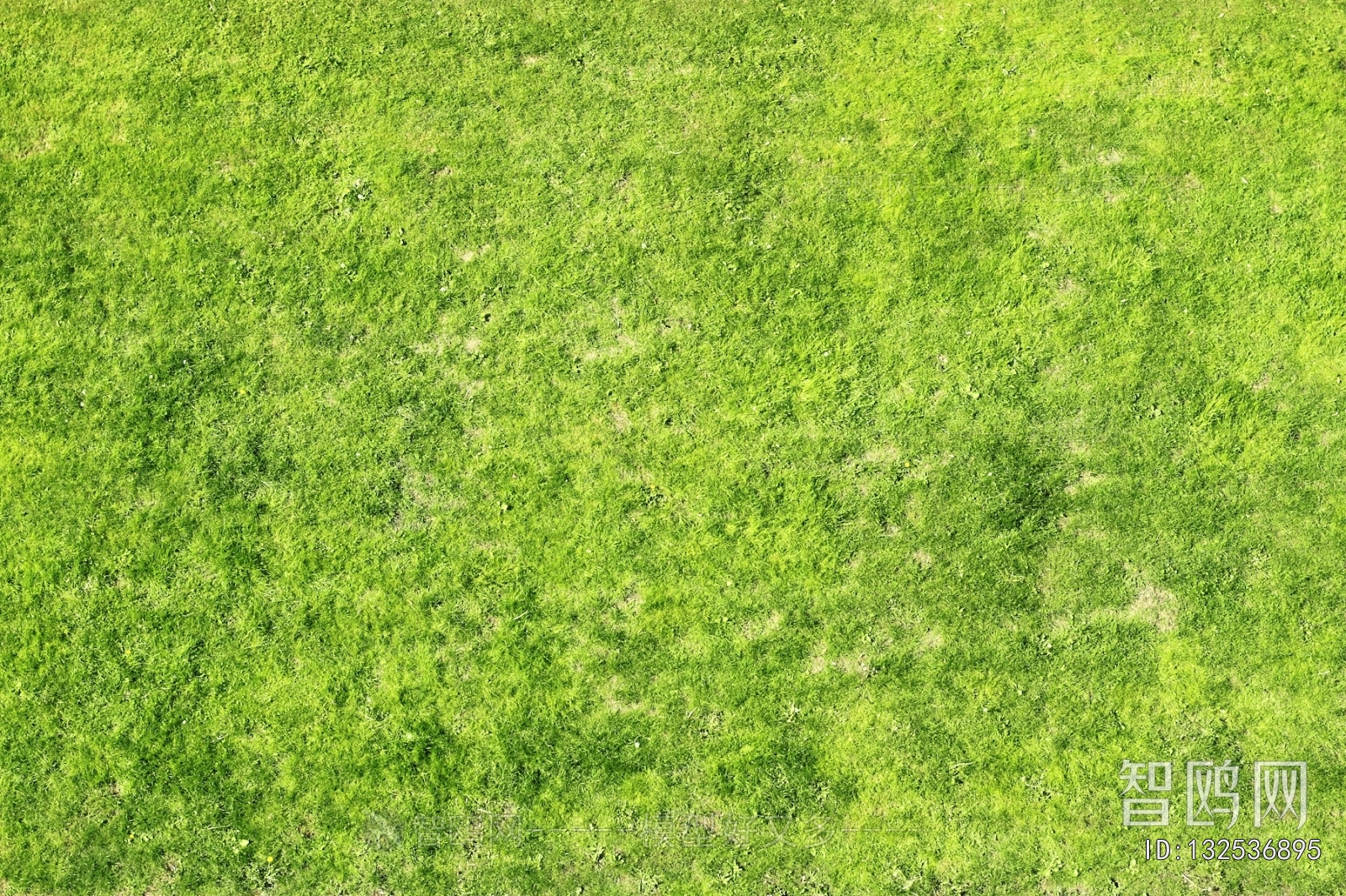 草皮地面