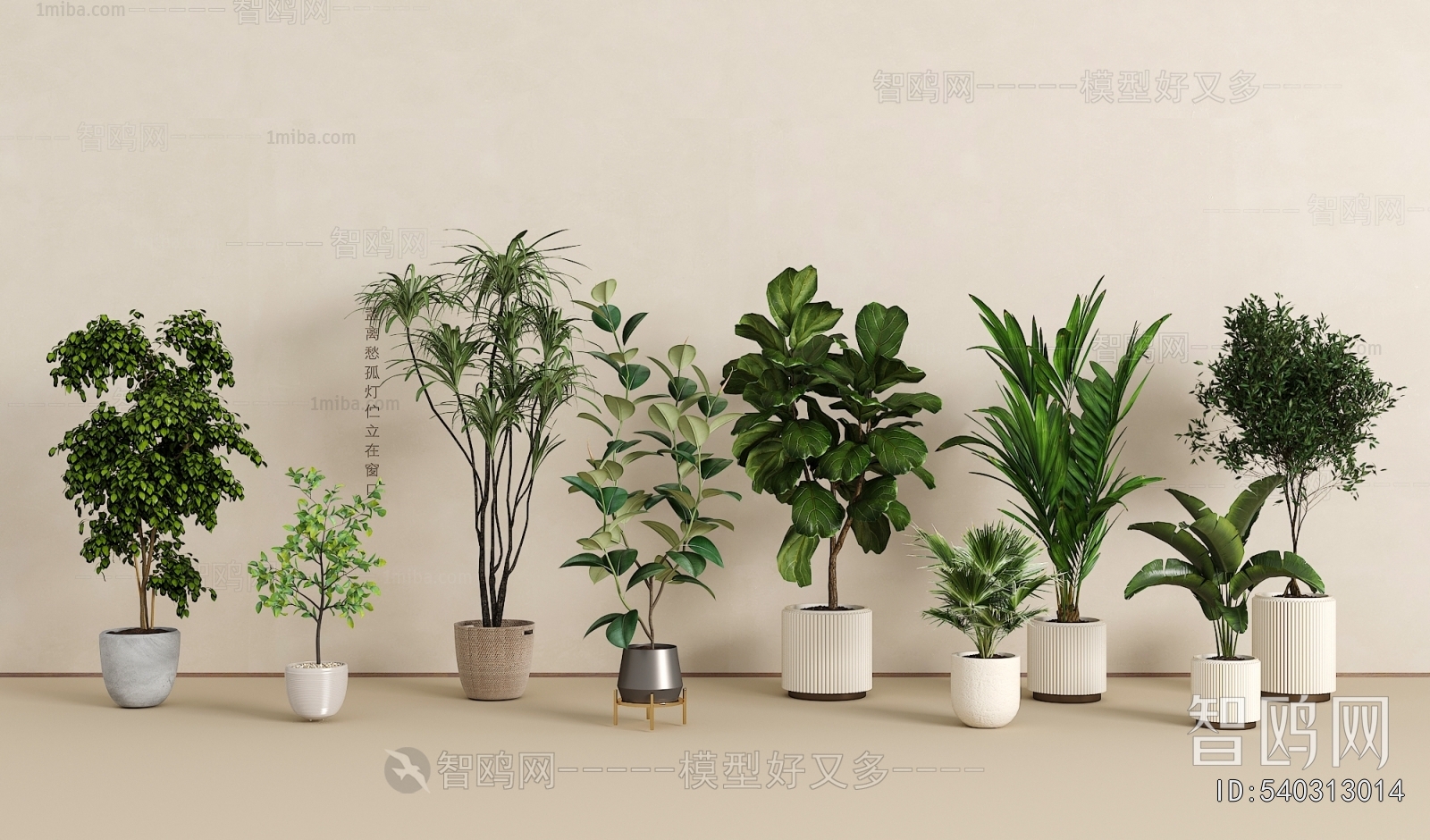 Modern Ground Green Plant Potted Plants