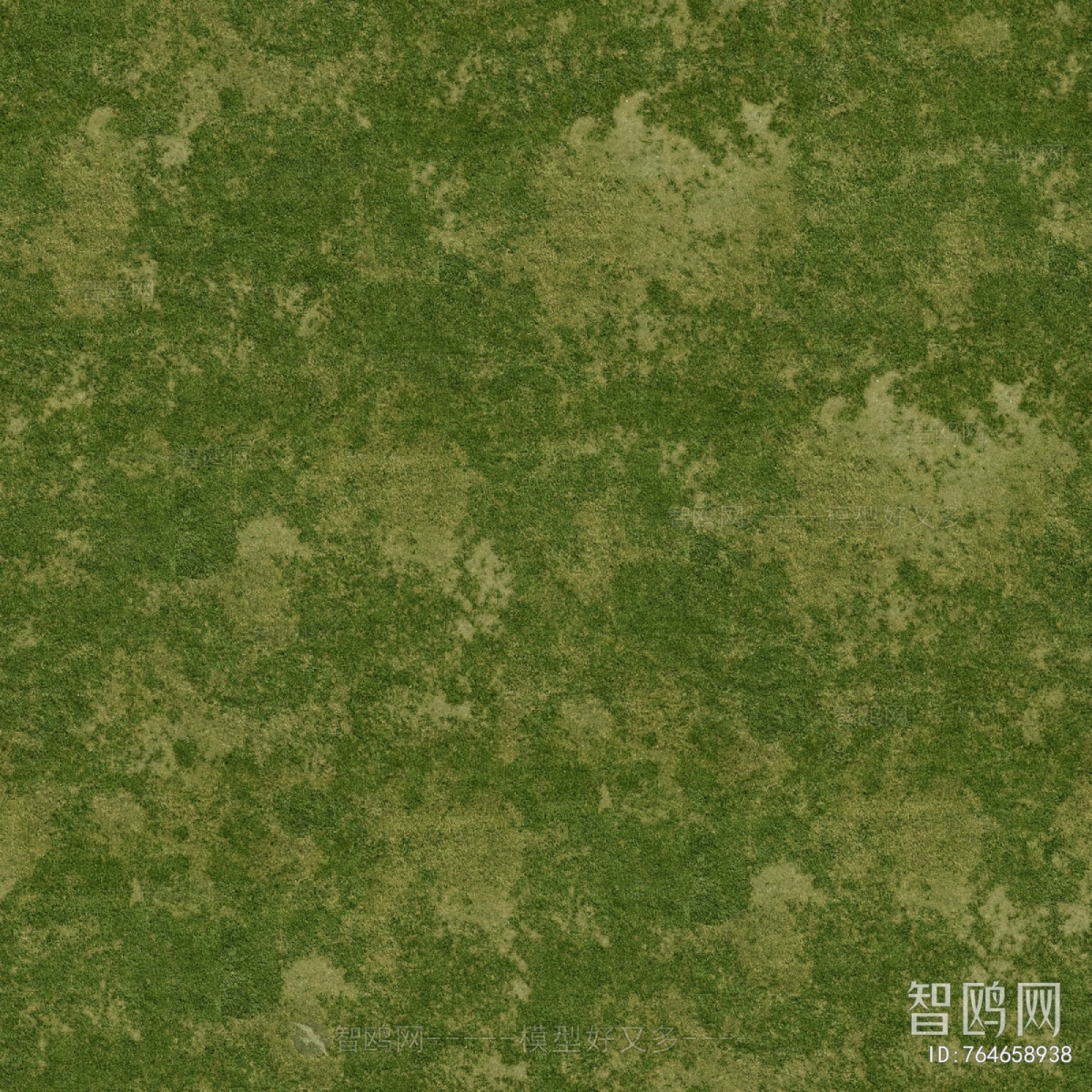 草皮地面
