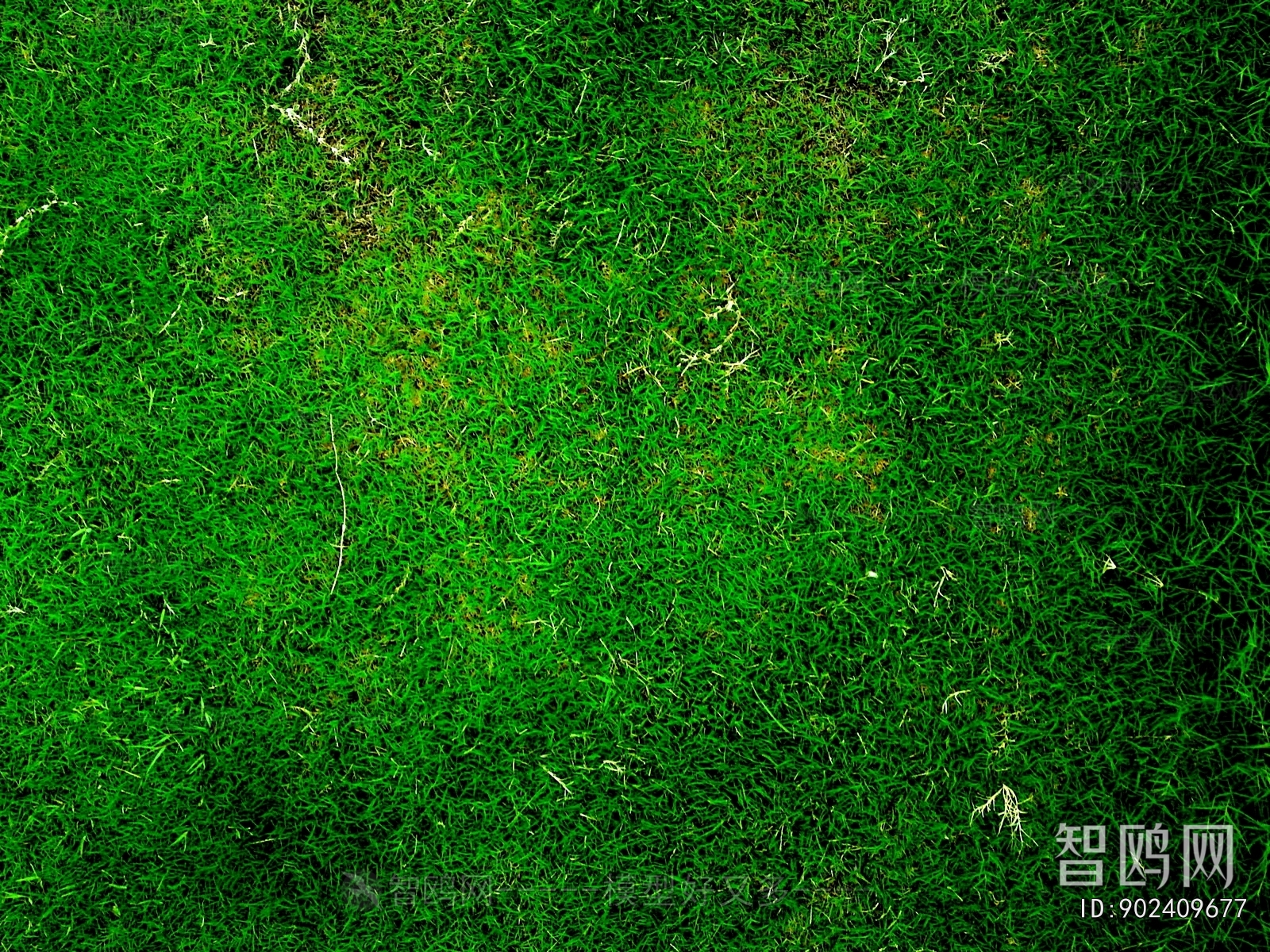 户外草皮地面
