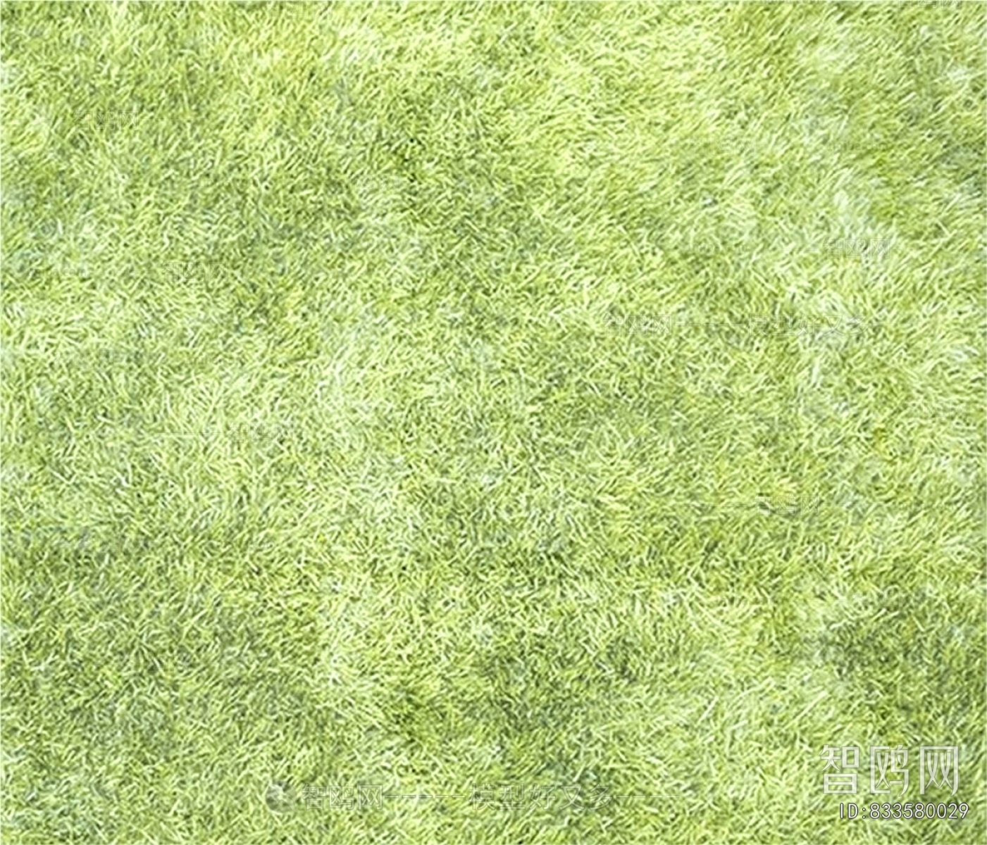 Grass