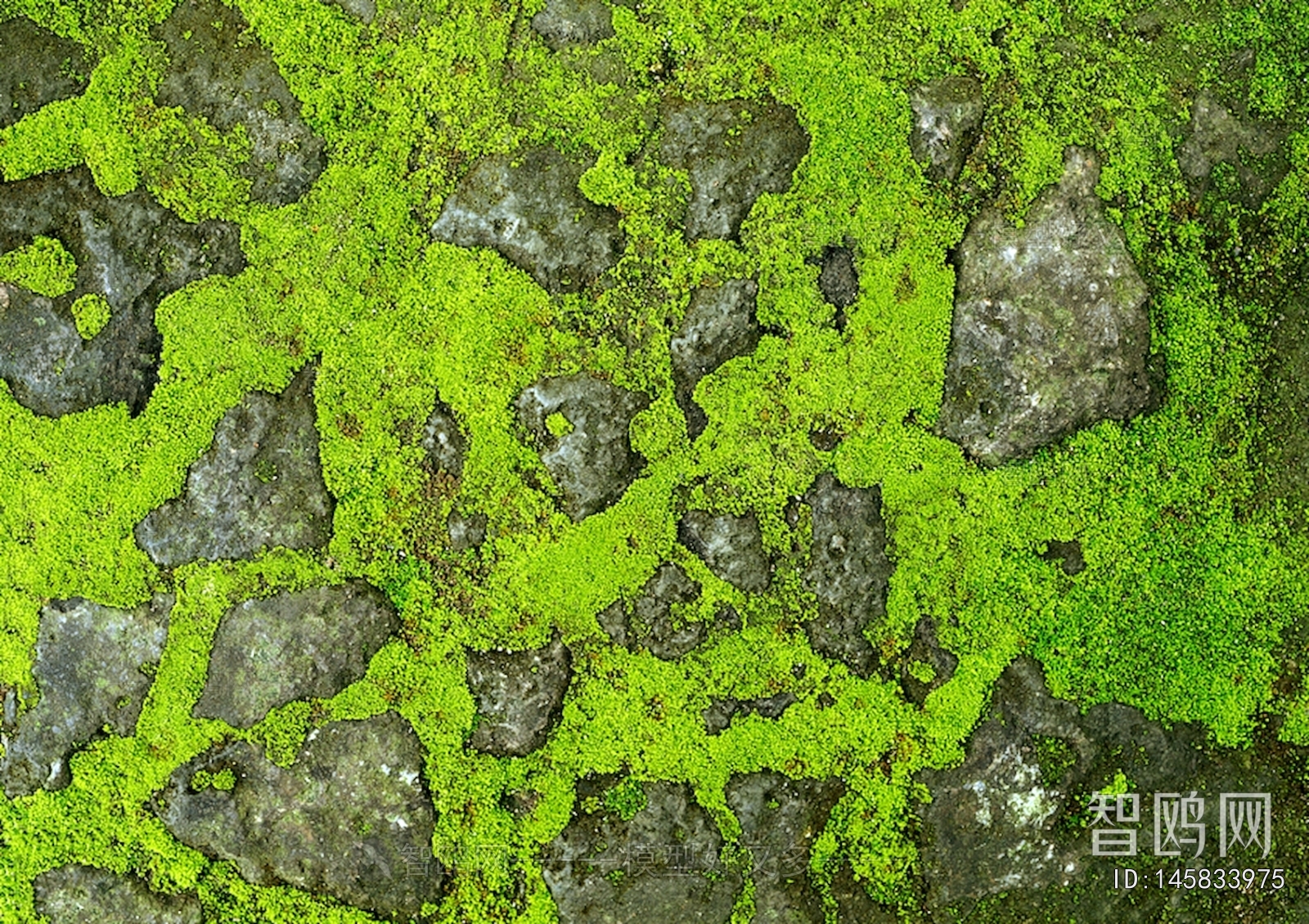 Other Stone Textures