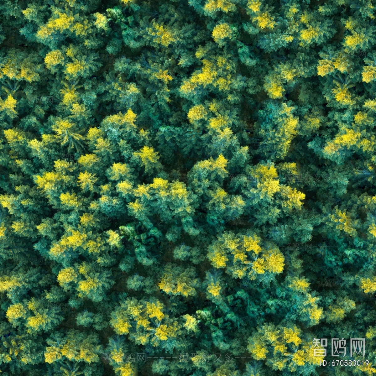 草皮树林