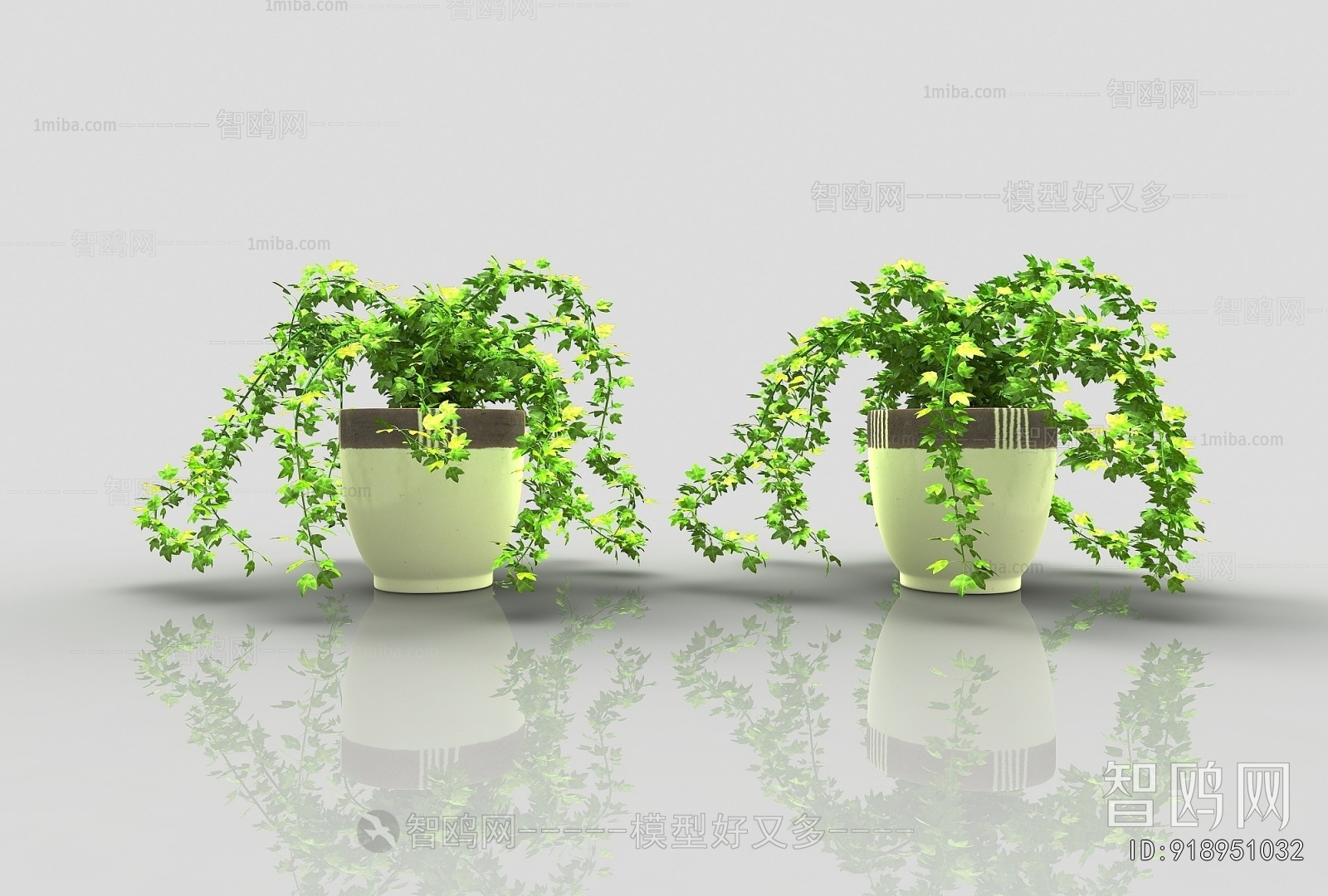 Modern Potted Green Plant