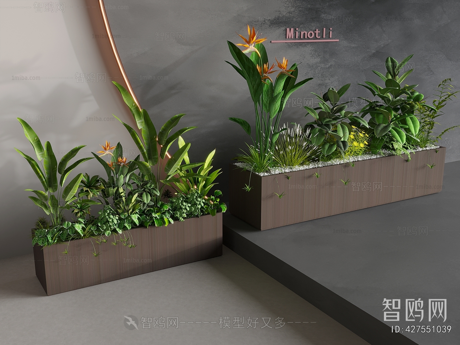 Modern Flower Bed, Flower Bowl, Flower Box