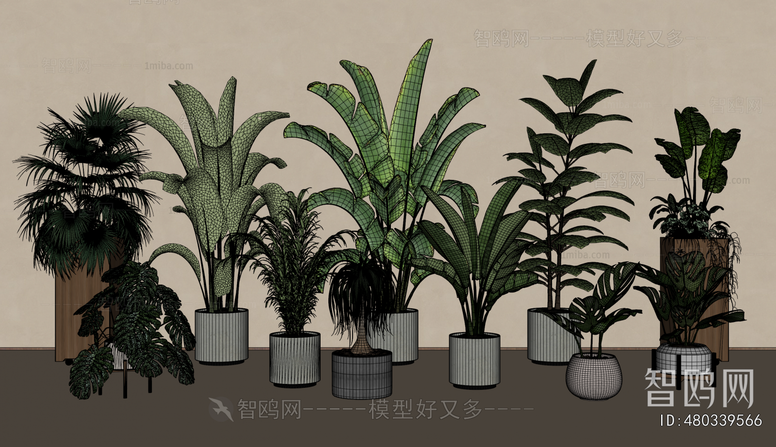 Modern Ground Green Plant Potted Plants