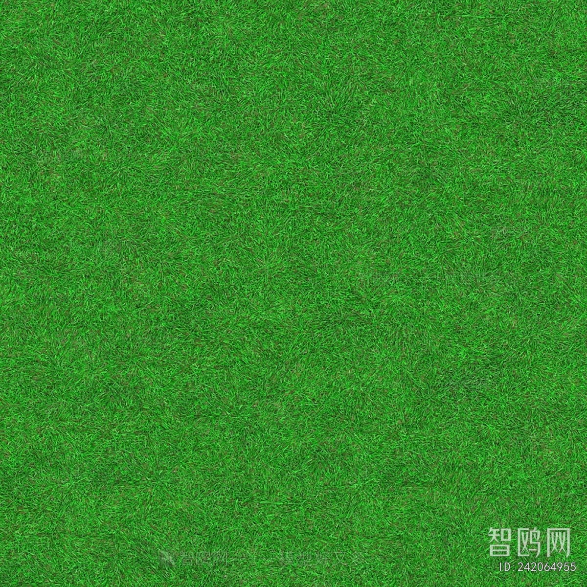 Grass