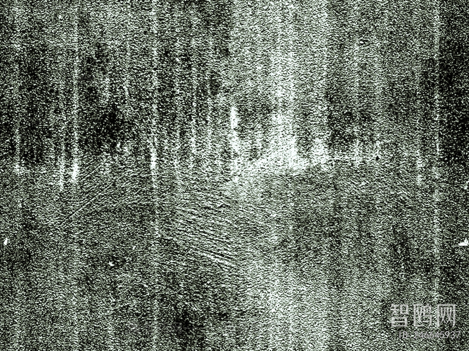 Bump Black And White