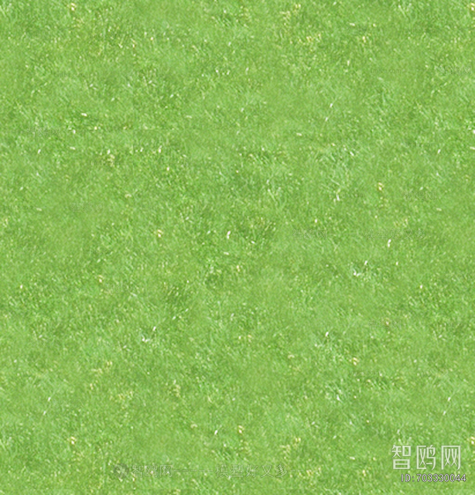 Grass