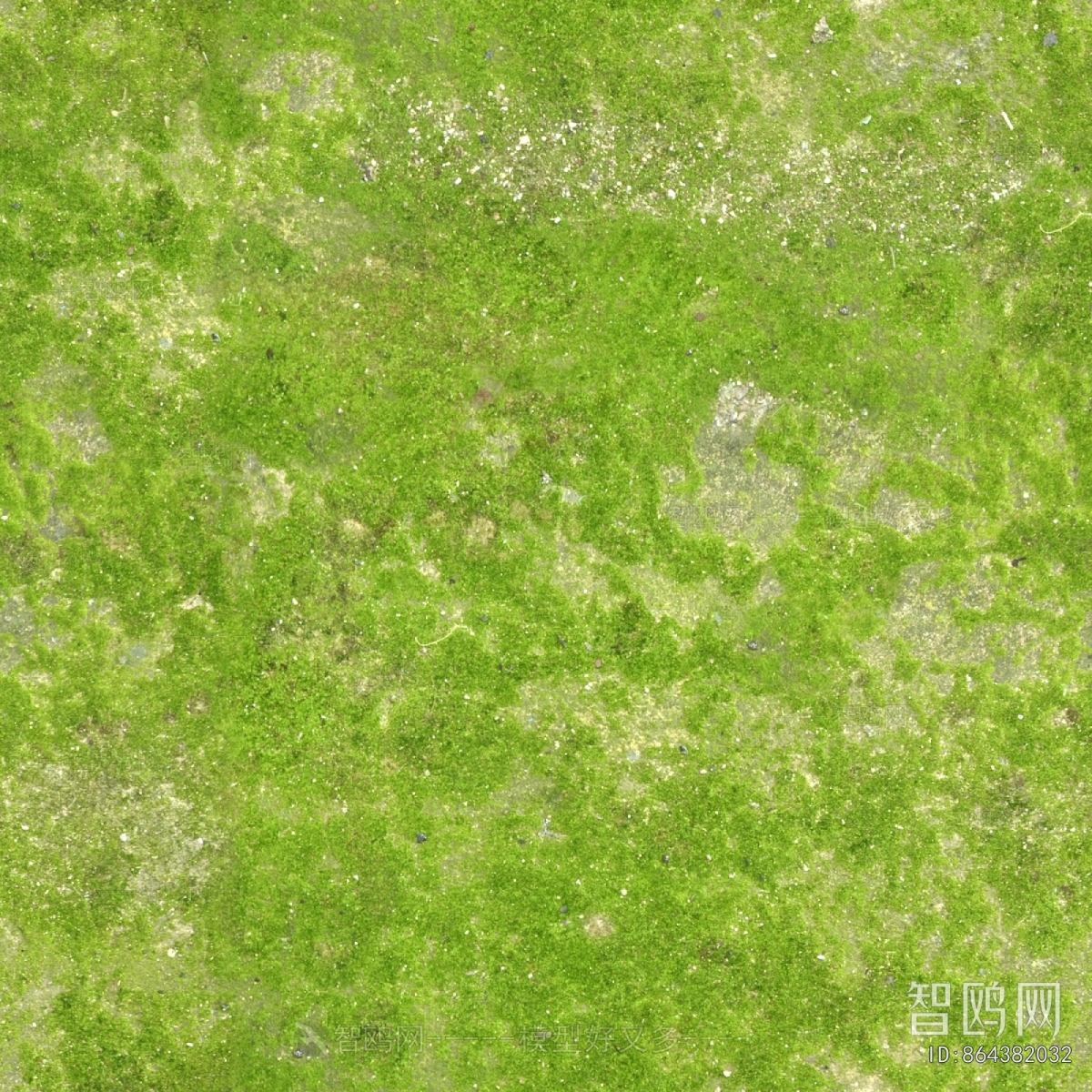 现代草皮地面