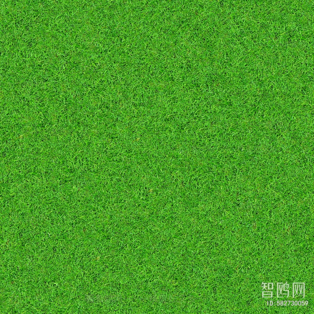 草皮地面