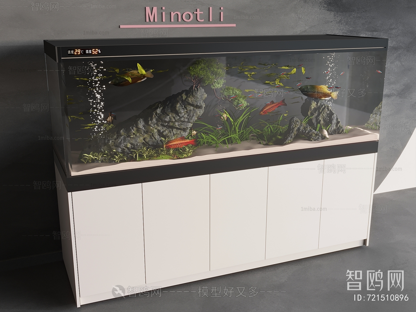 Modern Fish Tank