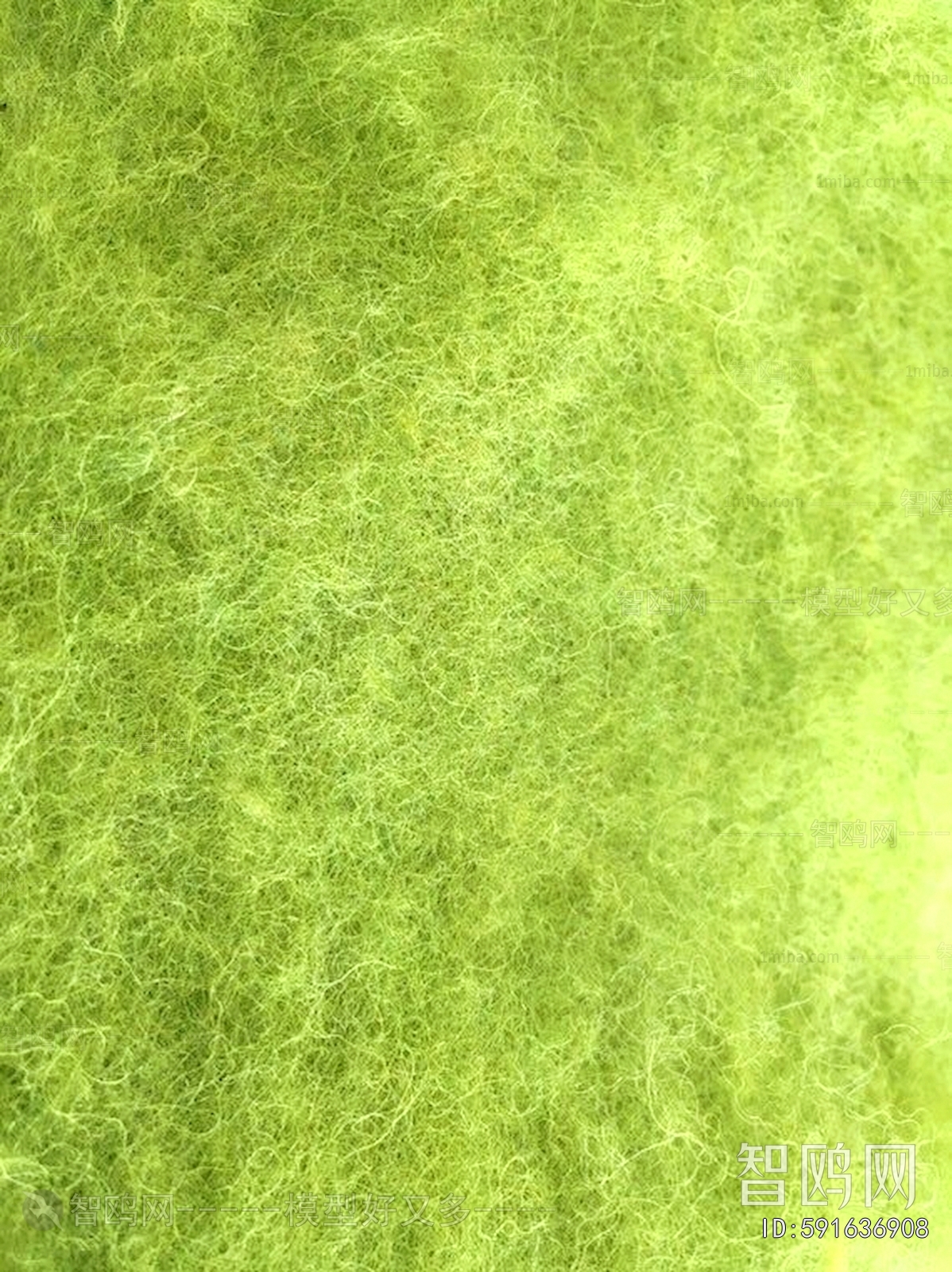 Grass