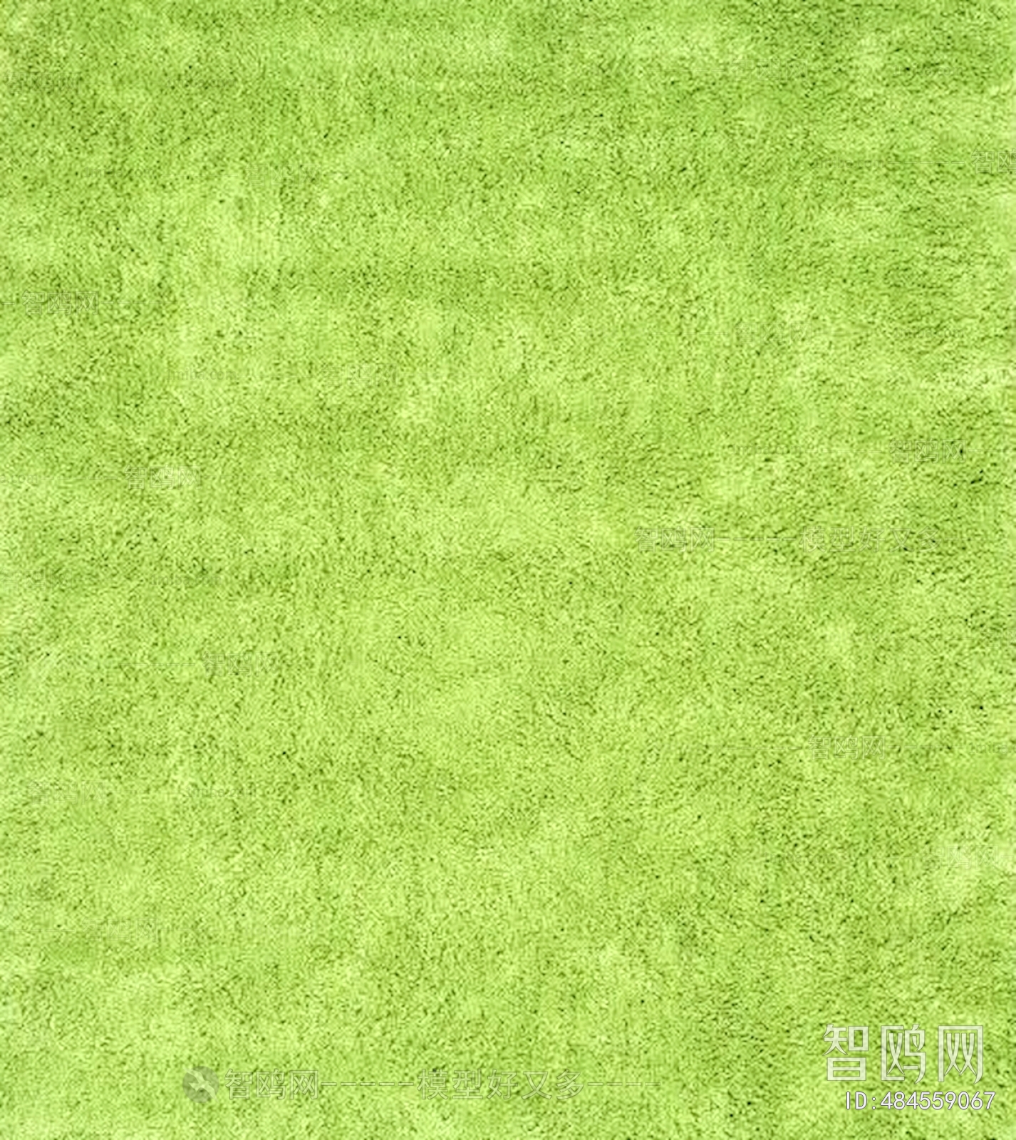 Grass