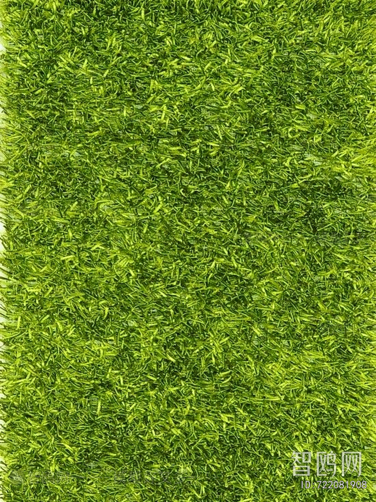草皮树林