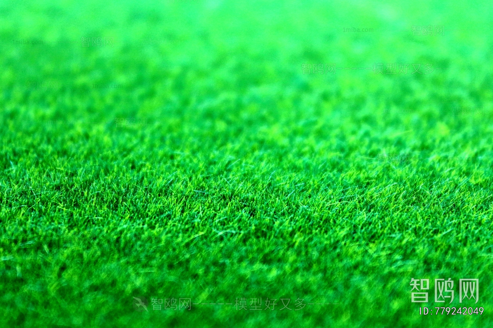 Grass