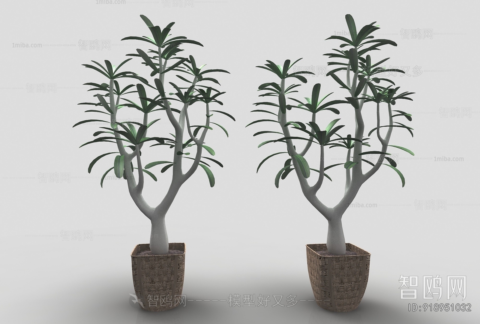 Modern Potted Green Plant
